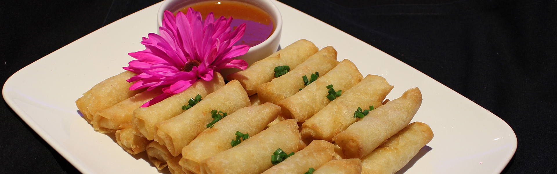 Fundraiser Testimonials The Woodwinds